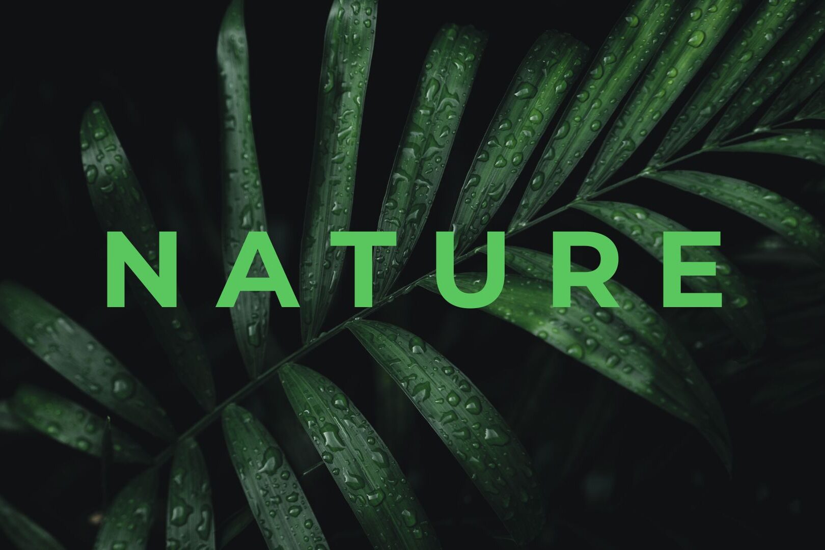 Nature Site slideshow